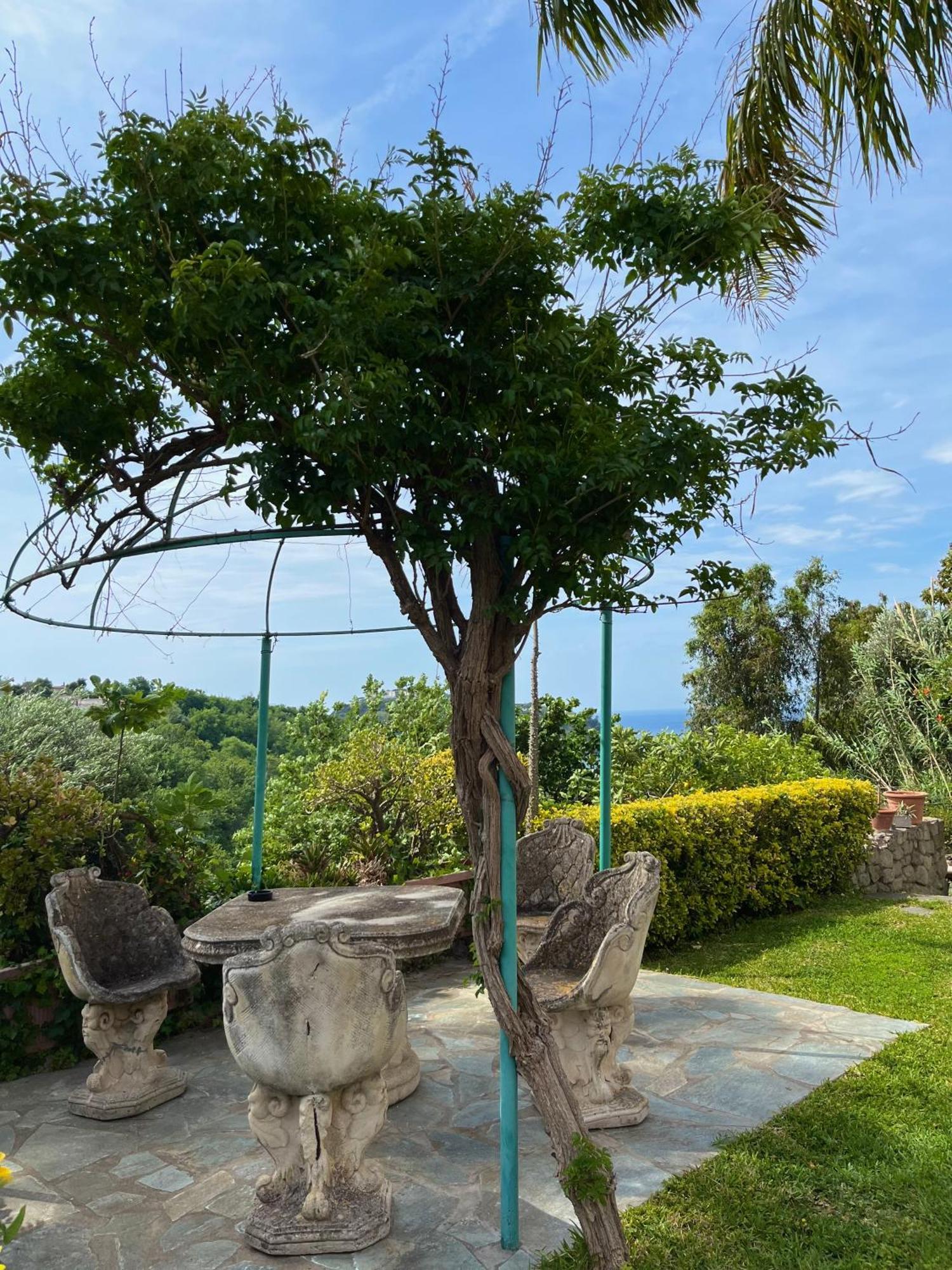 Resort Villa Flavio Casamicciola Terme Exterior foto