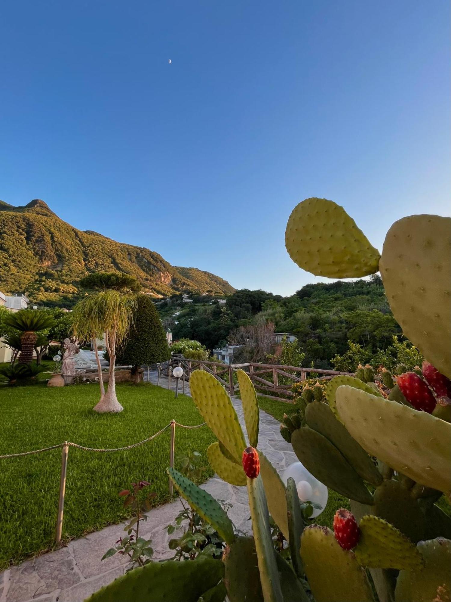 Resort Villa Flavio Casamicciola Terme Exterior foto