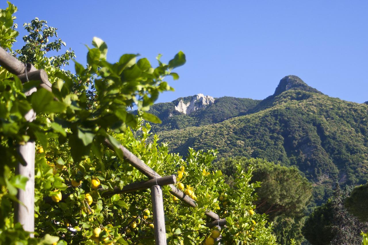Resort Villa Flavio Casamicciola Terme Exterior foto